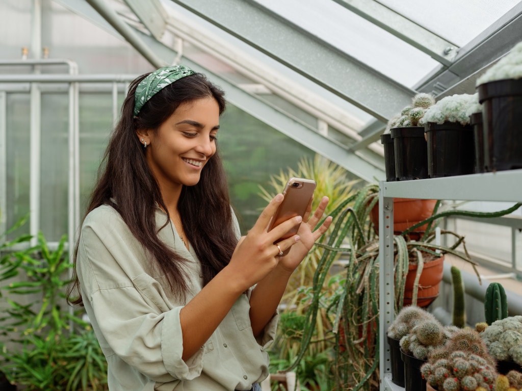 woman photographing cactus plants with phone