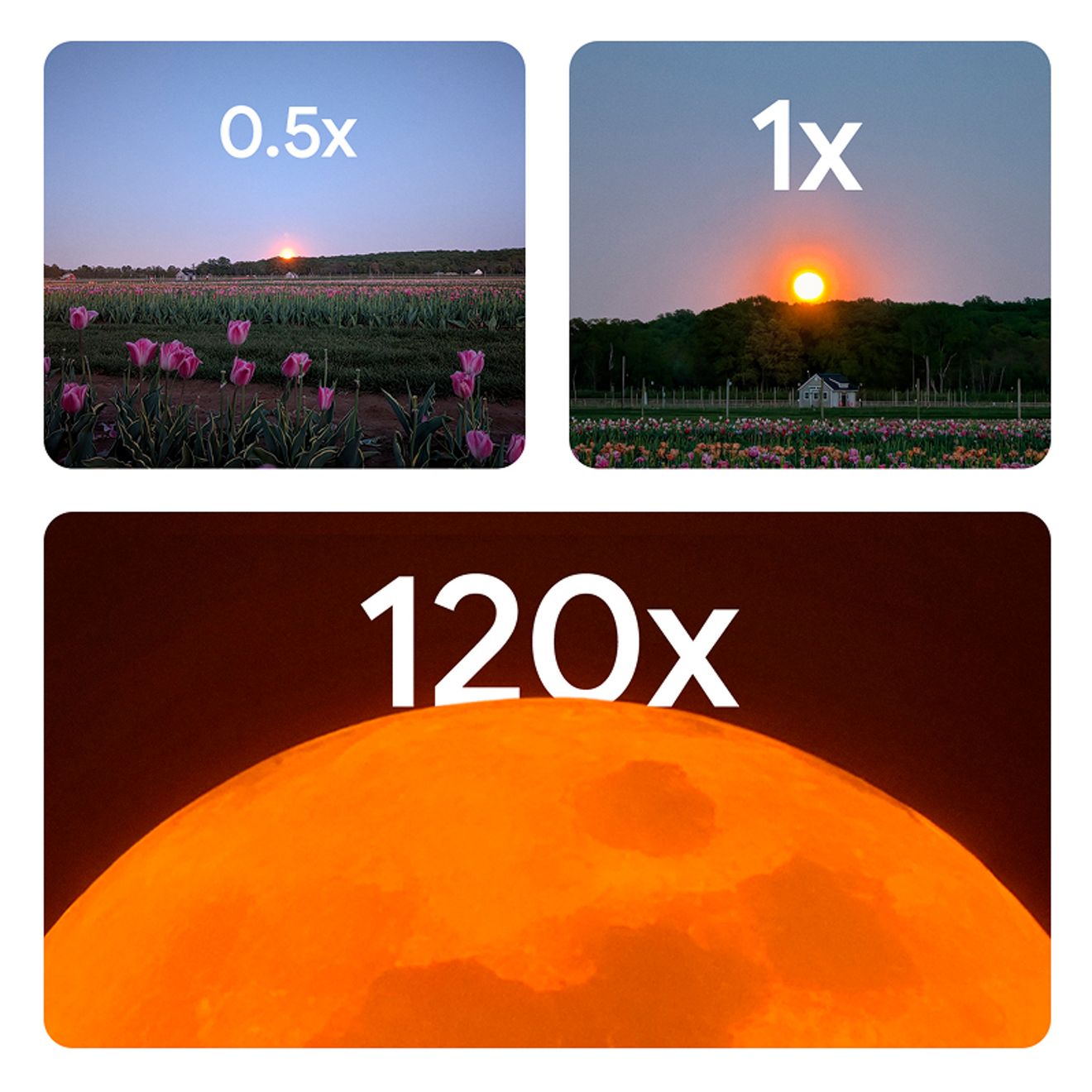 Tres imágenes del sol poniéndose detrás de una hilera de árboles, con una granja y flores en primer plano. La primera imagen es un zoom de 0.5X que muestra la puesta de sol en el cielo. La segunda imagen es un zoom de 1.0X que muestra la granja y el sol más grandes. La tercera imagen es de 120X, y muestra la superficie del Sol.