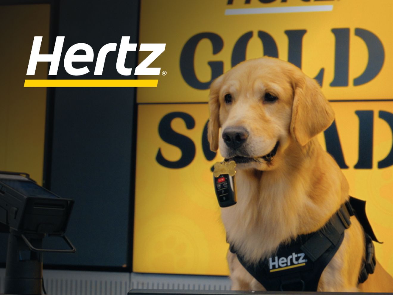 Un golden retriever con las llaves del auto en la boca está sentado junto al equipaje en el aeropuerto. Un letrero de Hertz detrás de él dice "Gold Squad"