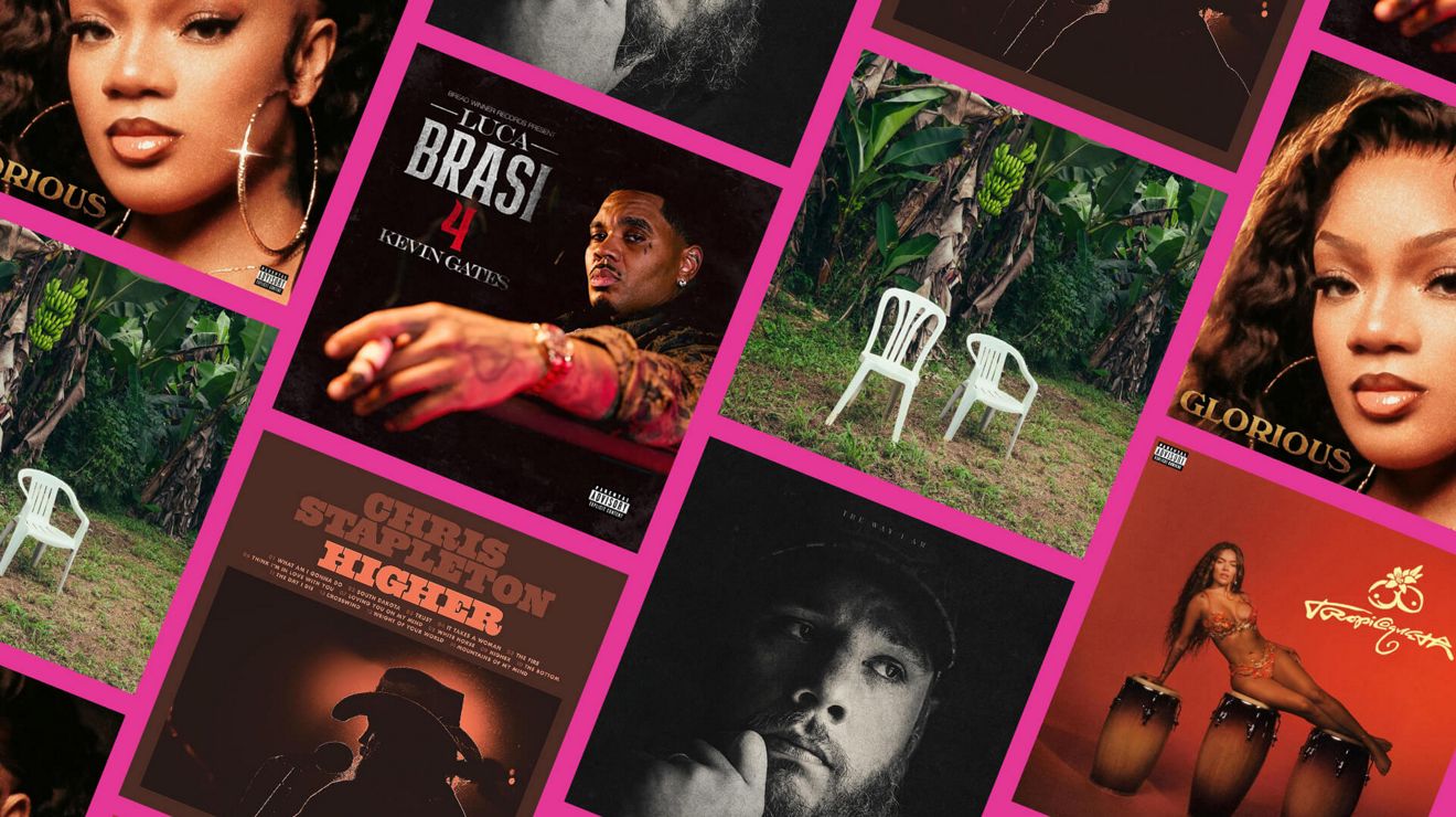 Gráfico que muestra un collage de portadas de álbumes de música con varios artistas.
