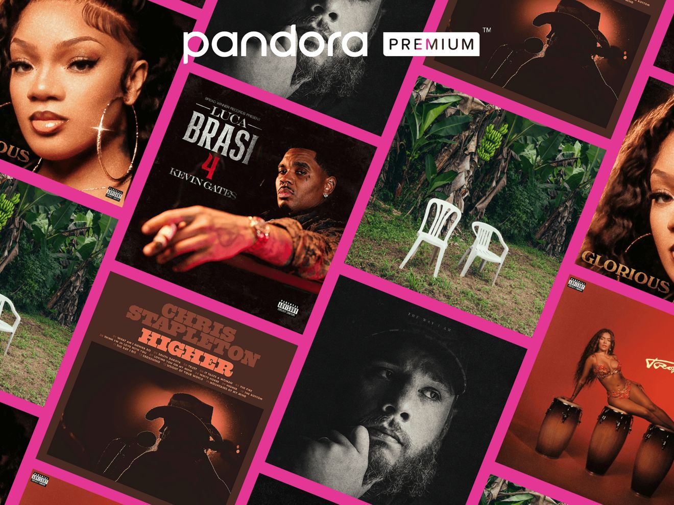 Imagen de Pandora Premium