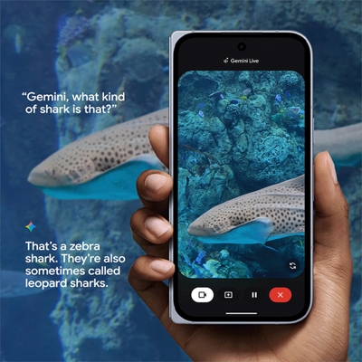 Una persona utiliza Gemini Live apuntando con su teléfono Google Pixel 10 a un acuario y haciendo una pregunta.