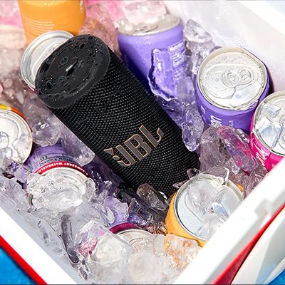 Una JBL Grip está dentro de una nevera portátil llena de hielo.
