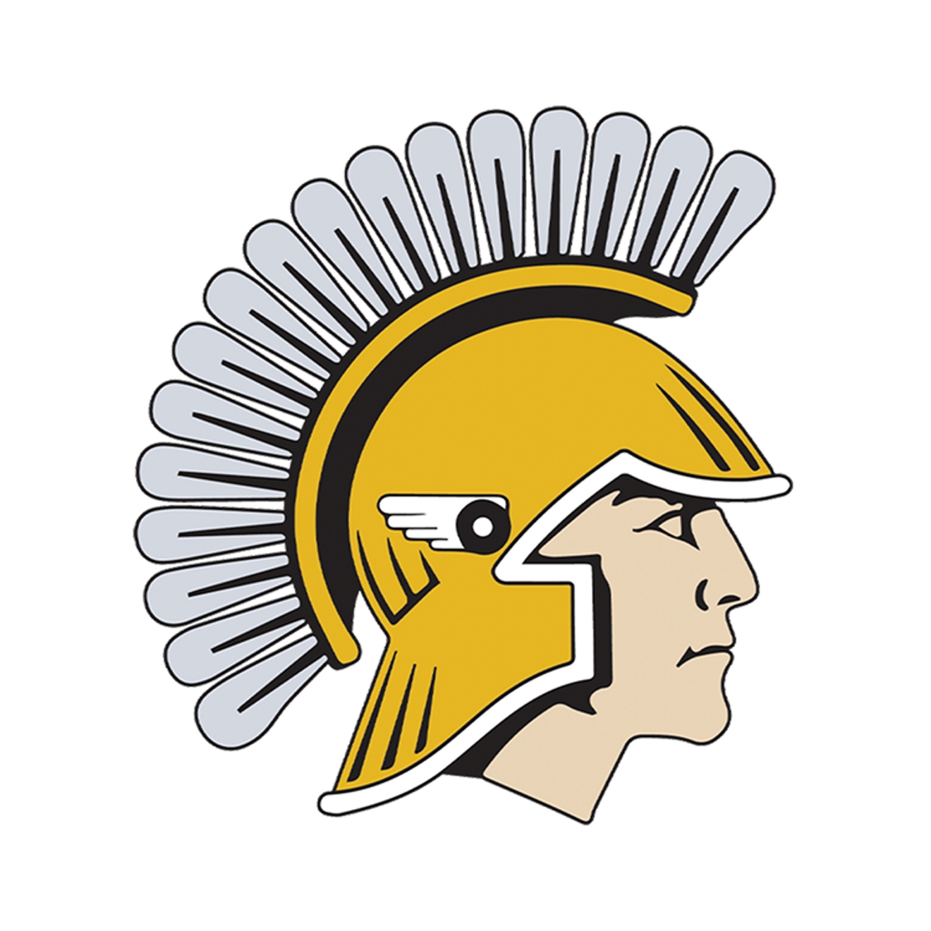 Logo de New Auburn High School