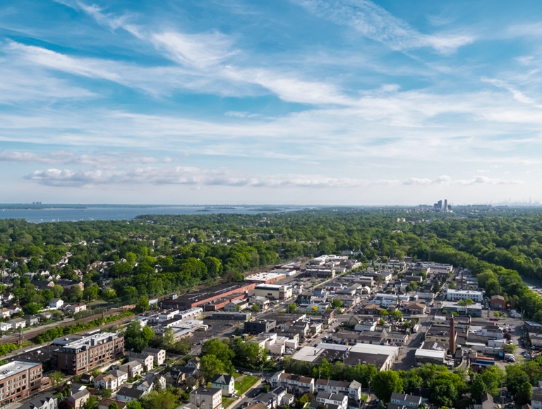 Una zona suburbana muy arbolada se extiende hacia el horizonte de una ciudad en la distancia.
