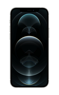 Vista trasera del iPhone 12 Pro - Plata-slide-2