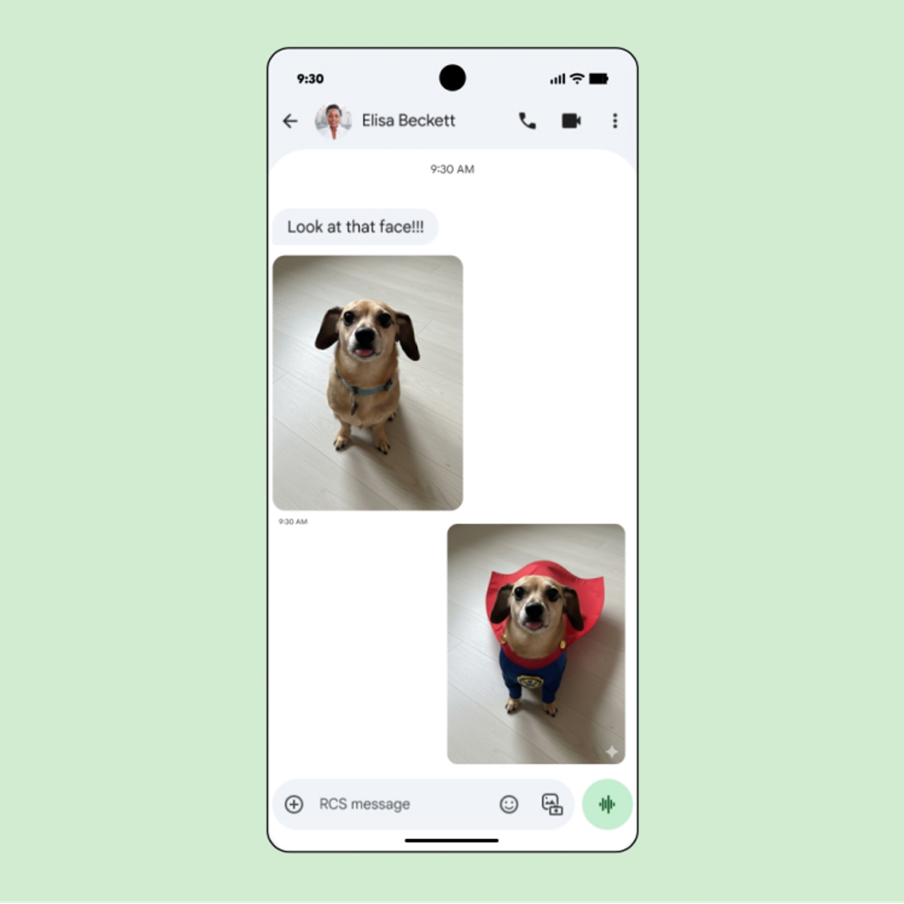 La pantalla de un teléfono muestra Google Messages con la foto de un perro original transformada en una mezcla divertida y compartida en el hilo del chat.