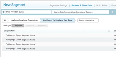Access Amobee (Turn) DSP Segments - Step 6