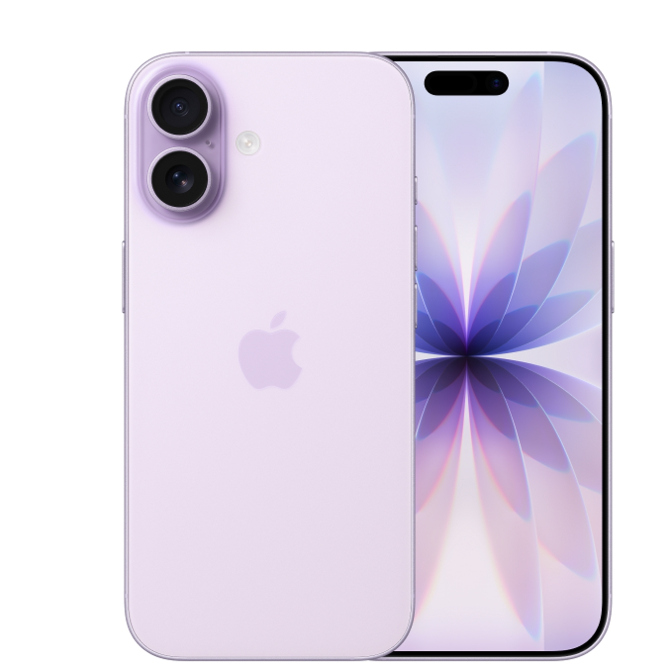 Vista frontal y posterior del Apple iPhone 17.