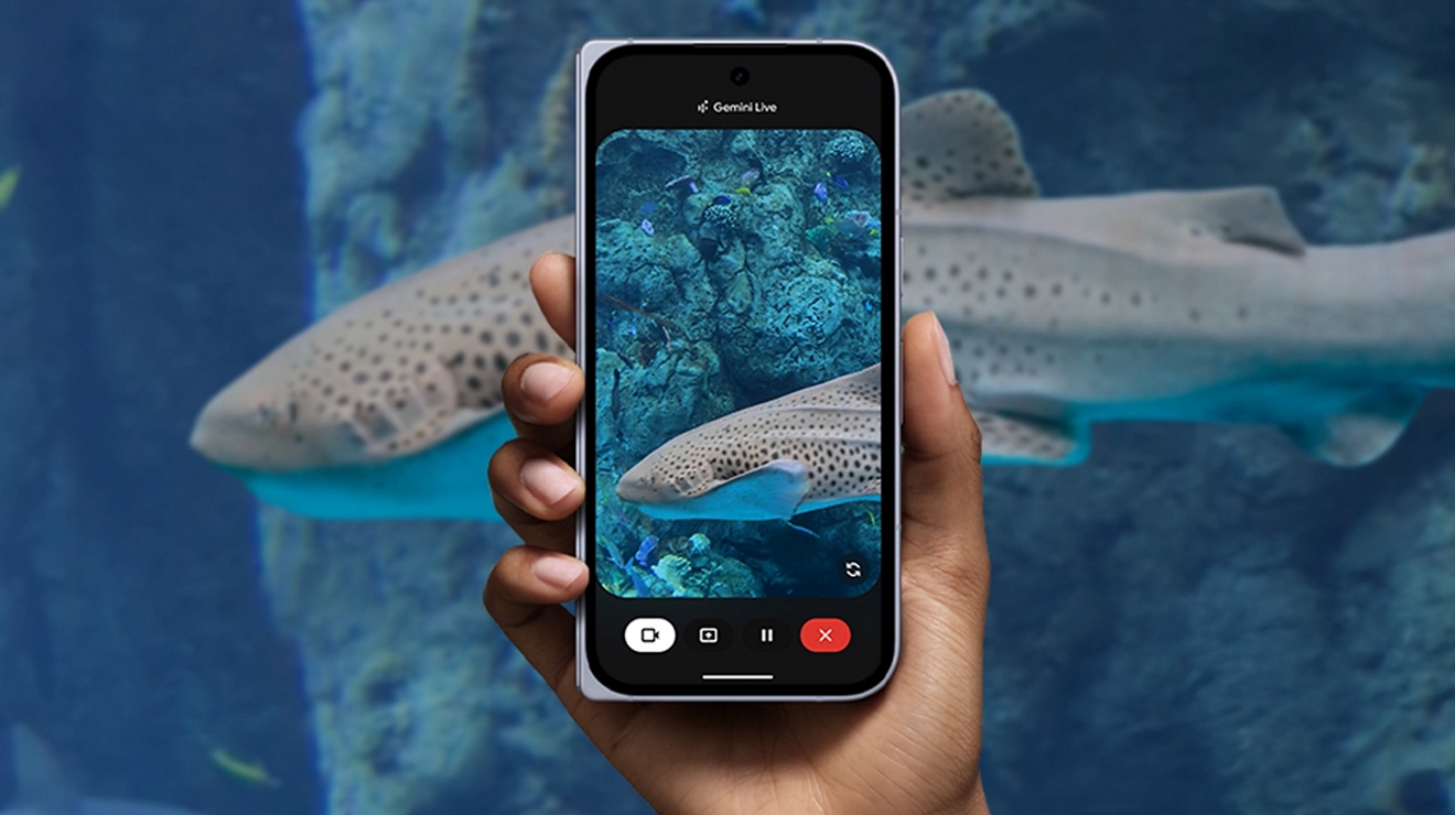 Alguien enfoca con la cámara del Google Pixel 10 Pro Fold a un tiburón en un acuario.