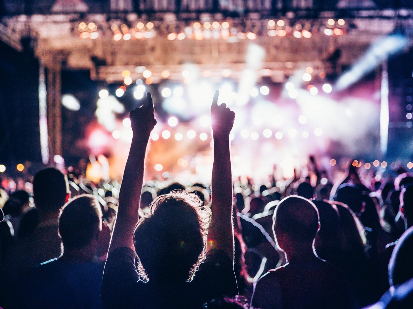 Multitud en un concierto