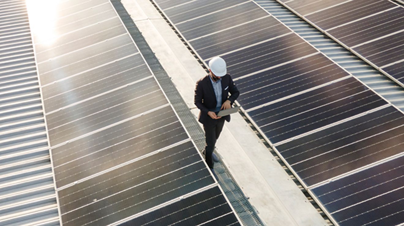 Ingeniero entre paneles solares