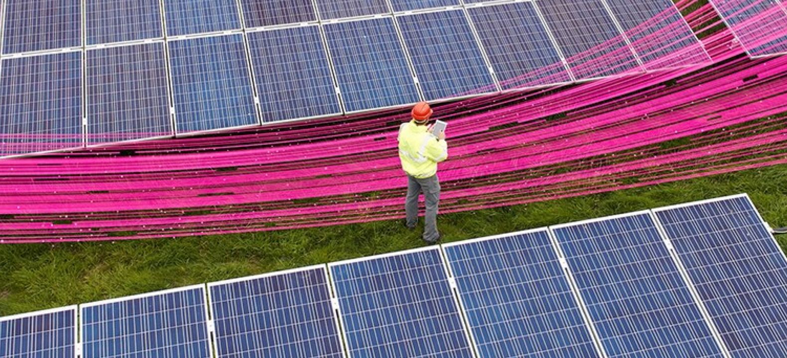 Un ingeniero en una granja solar trabaja con su tablet en medio de un haz de rayos magenta de conectividad.