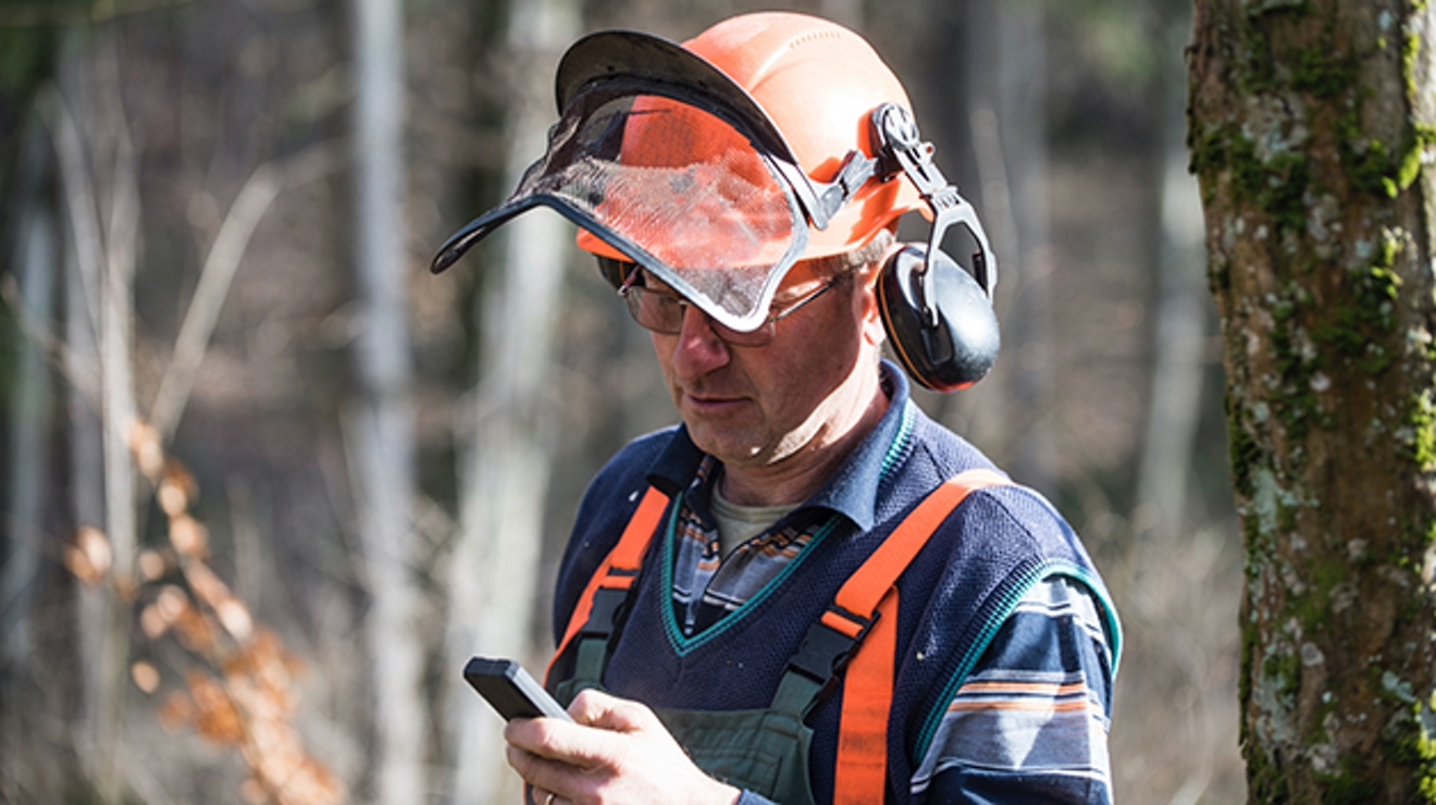 Hombre con casco de seguridad naranja utilizando un teléfono móvil en el bosque