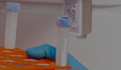 Mano sosteniendo tubos de ensayo en una bandeja