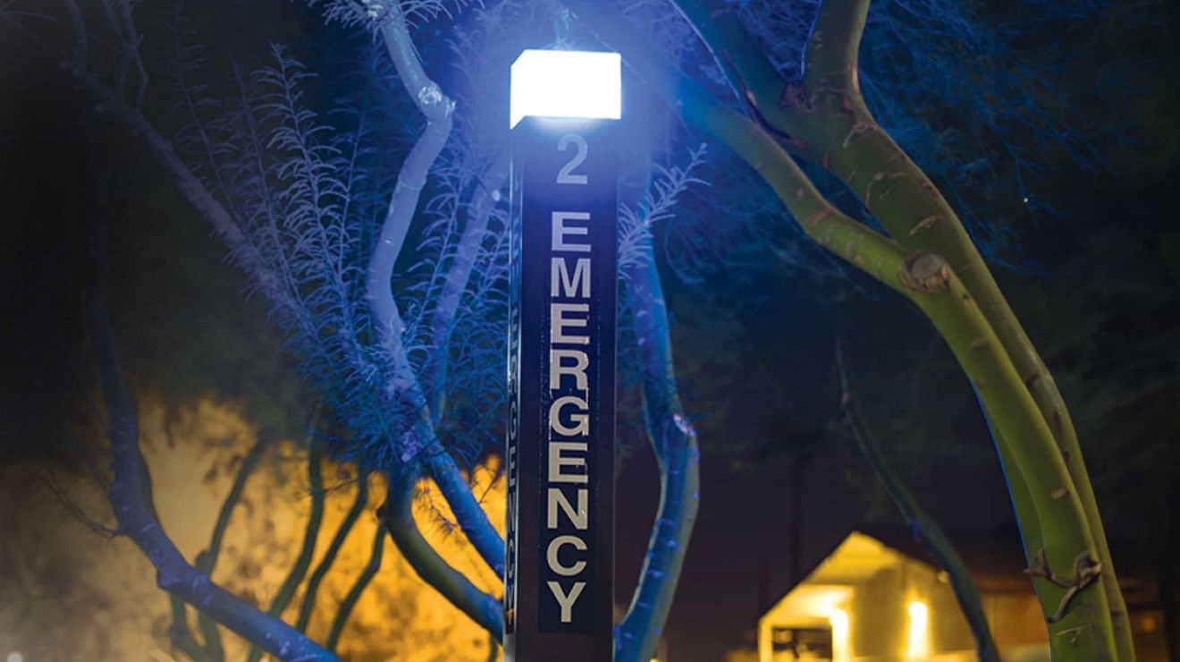 Un ejecutivo en el vestíbulo de un edificio sostiene su smartphone mientras presiona el botón de un ascensor.
