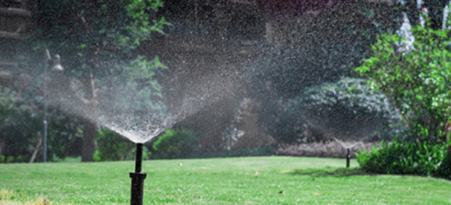 Jardín verde con agua
