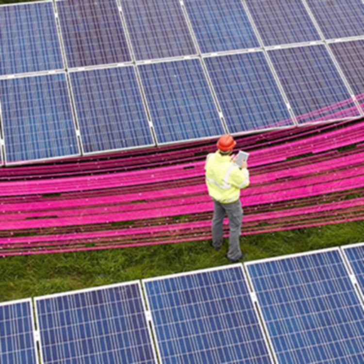 Trabajador con casco de seguridad en un campo de paneles solares con un haz de rayos magenta en el medio
