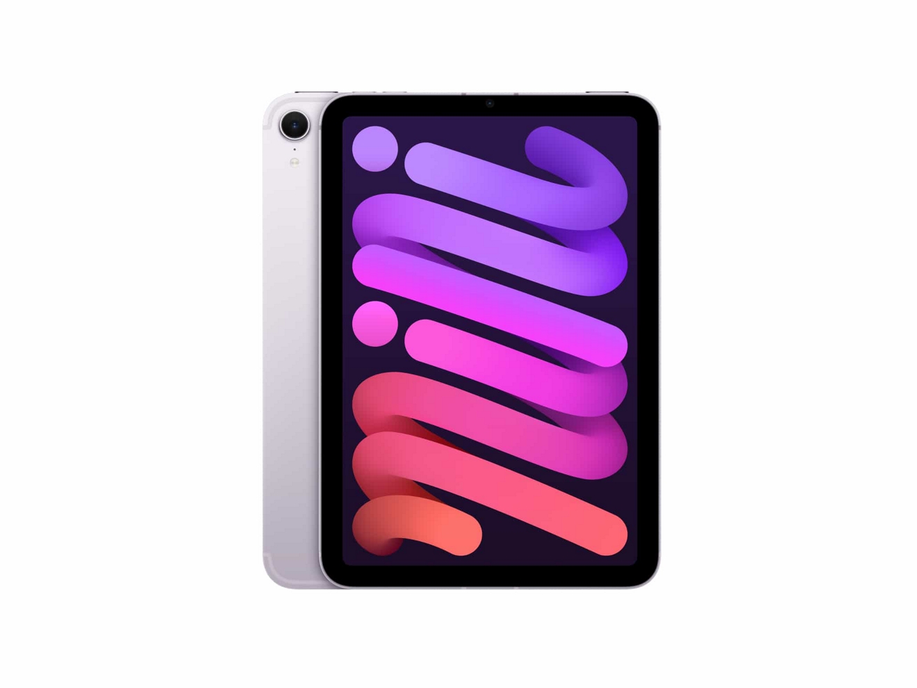 Un iPad mini de Apple plata, mostrado por detrás y por delante.