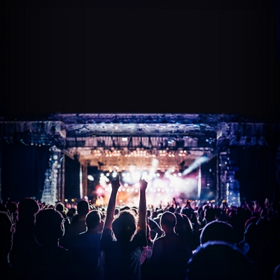 Una multitud en un concierto.