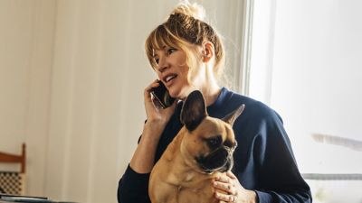 Persona realizando una llamada telefónica con un bulldog francés en su regazo.