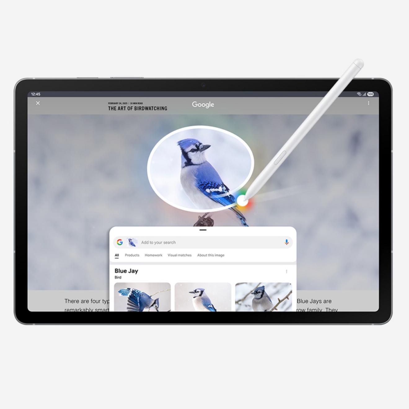 Dispositivo tablet Samsung S10 FE mostrando el uso de Circle to Search para identificar un ave