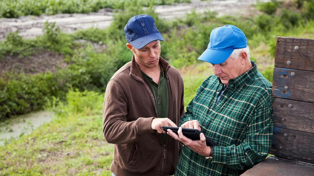 Un hombre mayor y uno más joven en exteriores en una granja mirando una tablet