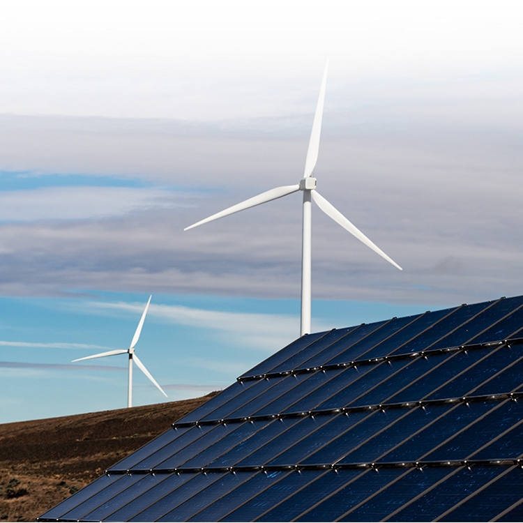 Paneles solares y turbinas eólicas.